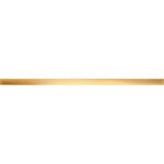 Steel Gold Фаянс 59,8х2,3