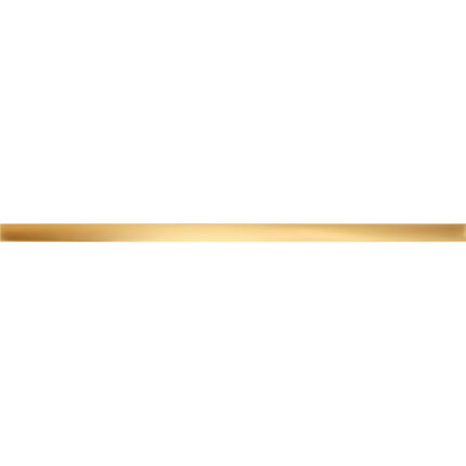 Steel Gold Фаянс 59,8х2,3