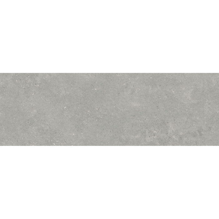 Elba 9541 Gris Фаянс 30×90 Elba 9541 Gris Фаянс 30×90