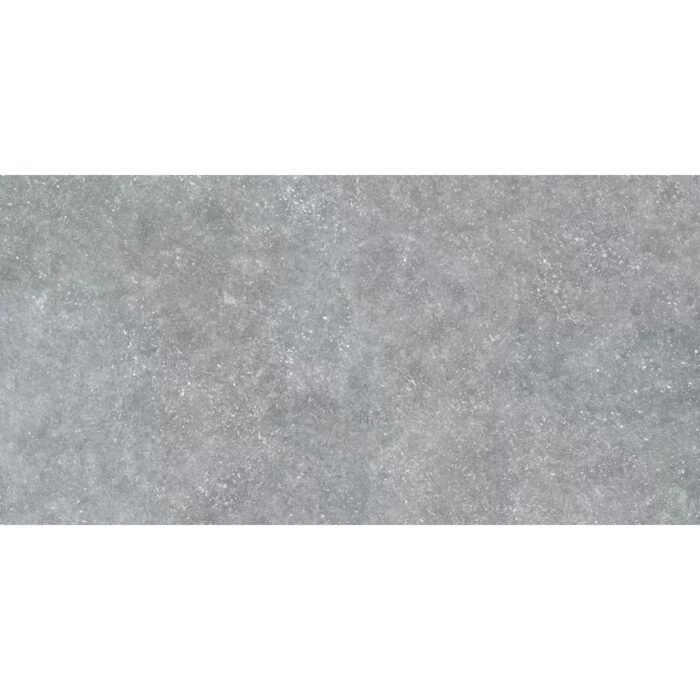Ardenas Gris База 60x120 см