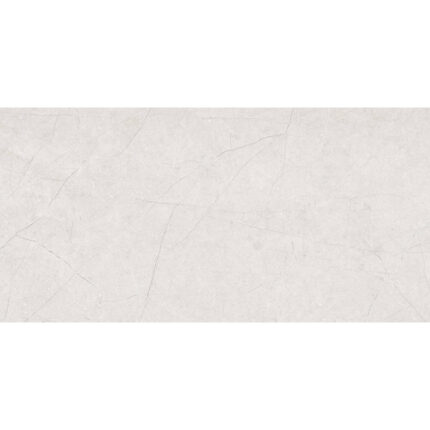 Belfort Light Grey 60/120 см Матиран гранитогрес
