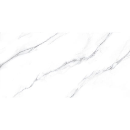 Carrara 60/120 Полиран гранитогрес