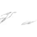 Carrara Мат 31,6×90 Фаянс