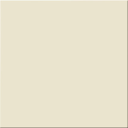 Pastel Latte M