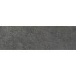 Premiere Dark 31,6×100 Фаянс