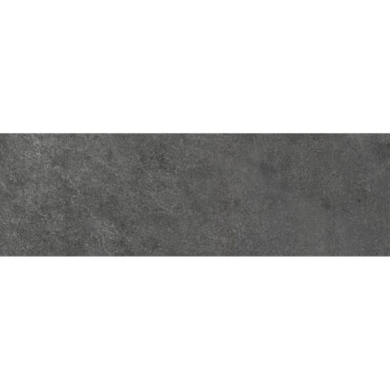 Premiere Dark 31,6×100 Фаянс