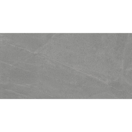 Madison Argent 59.5/119.2 Матиран гранитогрес