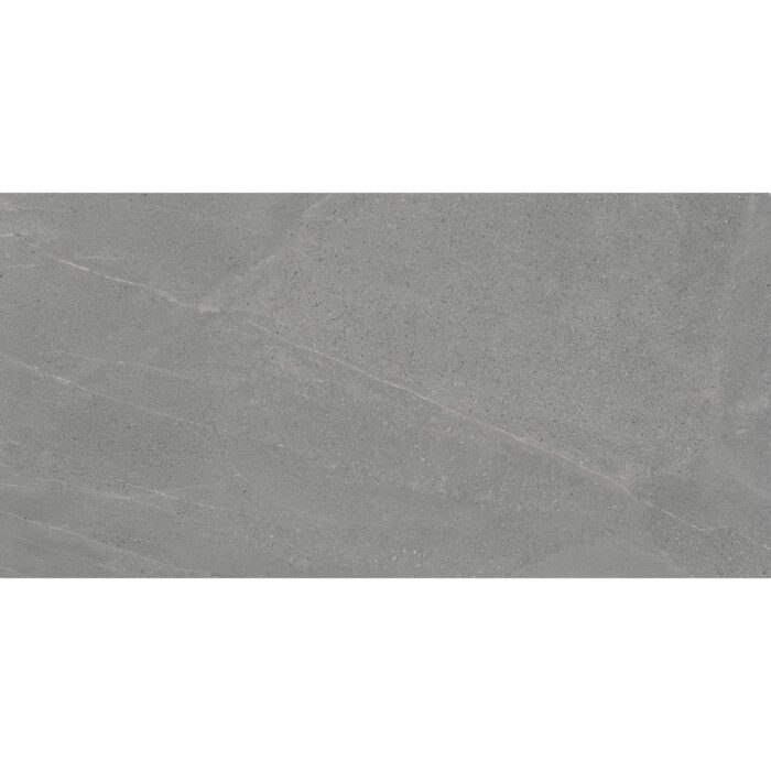 Madison Argent 59.5/119.2 Матиран гранитогрес