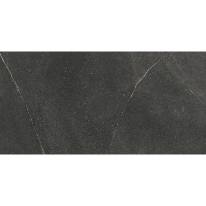 Madison Grafito 59.5/119.2 Матиран гранитогрес