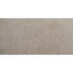 Neolitick Caramel 31.6×100 Фаянс