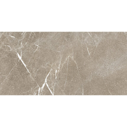 Star Greige 60/120 Матиран гранитогрес